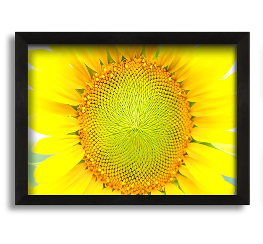 Dear Summer - Picture Frame Photograph on Canvas