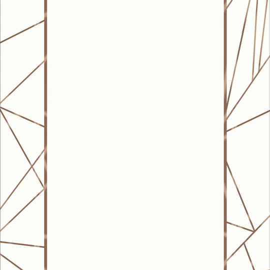 Ravalli White/Gold Rug