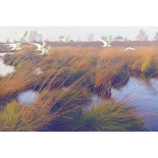 Marshland Hues II by Steve Hunziker - Wrapped Canvas Graphic Art