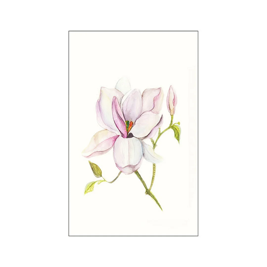 Magnolia Sketch Poster