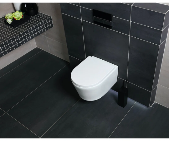 Schlueter Wall Hung Toilet and Mounting Frame with Button Flush