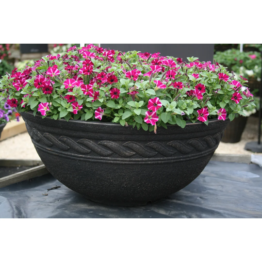 Canas Plant Pot