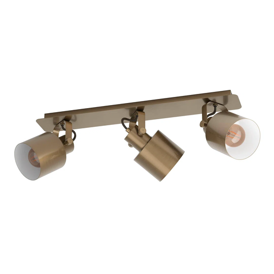 Graziella 3 Light 70" Ceiling Spotlight