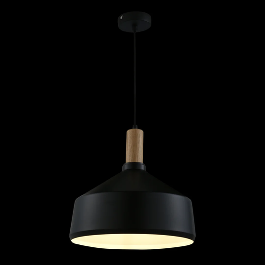 Itasca 1-Light Dome Pendant