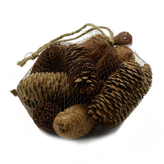Almaden Decorative Natural Pigna Bag