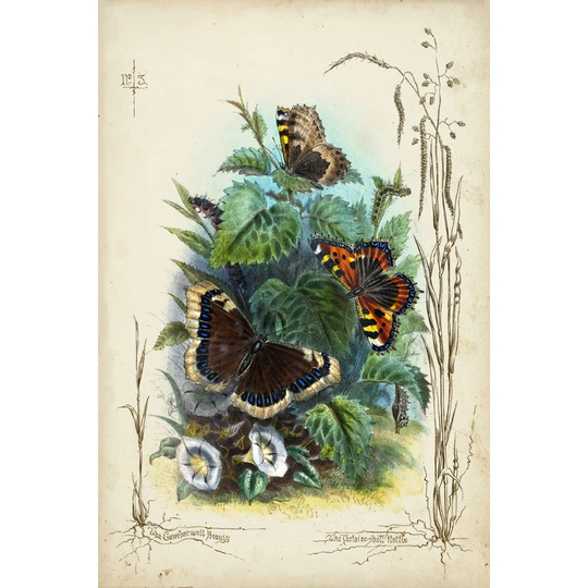 Victorian Butterfly Garden IV - Wrapped Canvas Art Prints