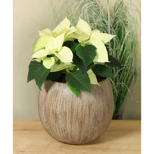 Ceramic plant pot, wood look, 28 x 28 x 25cm, brown