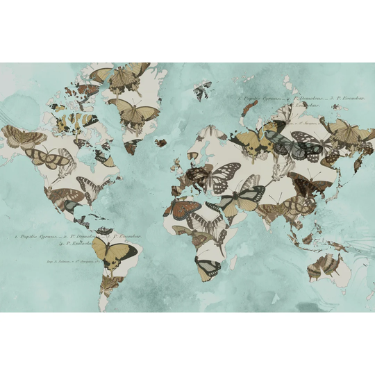Migration of Butterflies by Jennifer Goldberger - Wrapped Canvas Painting