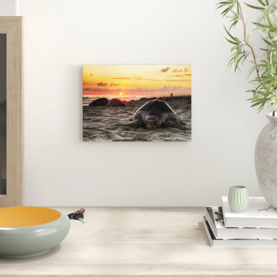 'Turtle Sunset Beach Seascape' Photographic Print