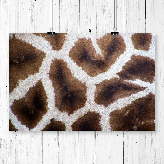 'Giraffe Skin' Graphic Art
