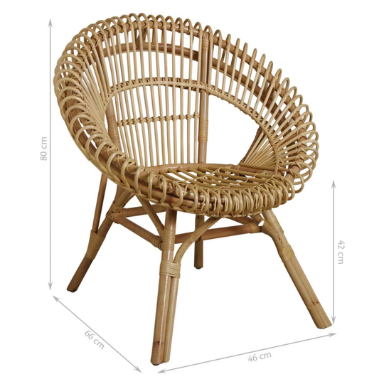 Natural Rattan Sun Chair