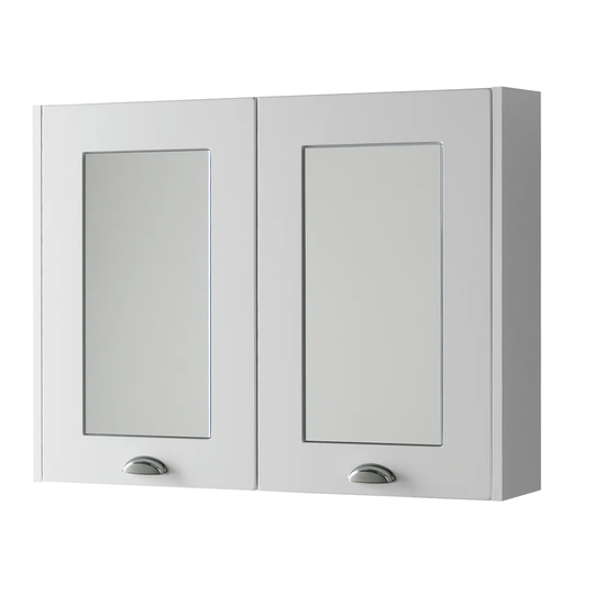 Astley 59.5cm x 80cm Surface Mount Mirror Cabinet