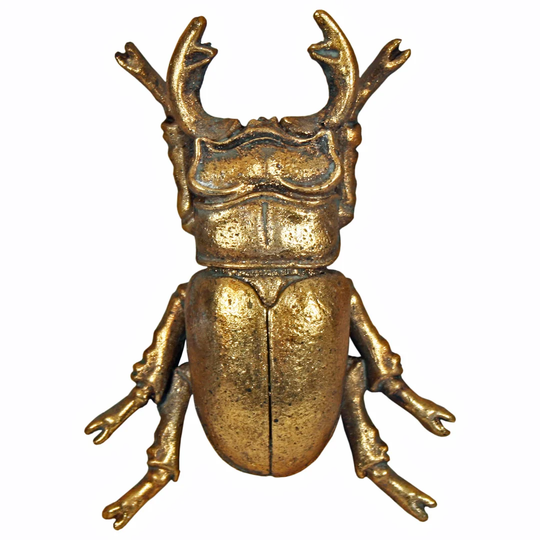 Stag Beetle Wall Décor