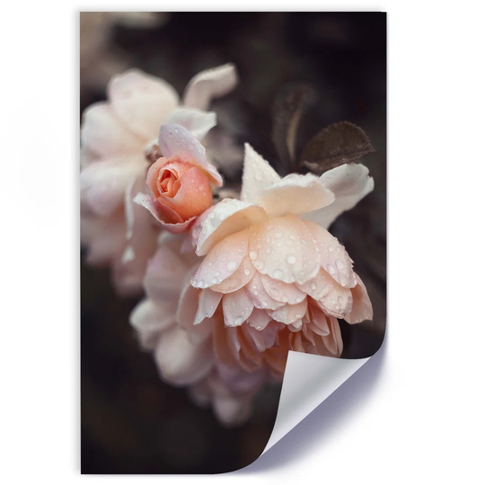 Macro Flower - Unframed Photograph