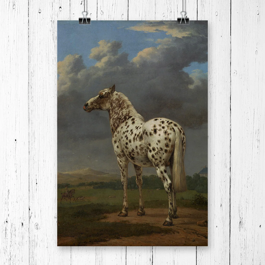 The Piebald Horse' by Paulus Potter Wall Art