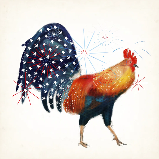 Rooster Fireworks II by Victoria Borges - Wrapped Canvas Graphic Art