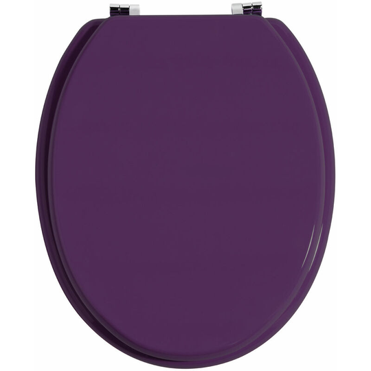 Purple Toilet Seat - Premier Housewares