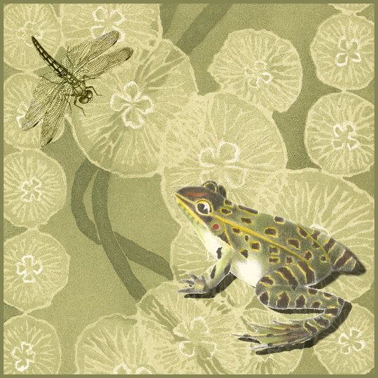 Frog Fable II - Wrapped Canvas Painting