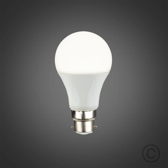 6W A19 LED Light Bulb