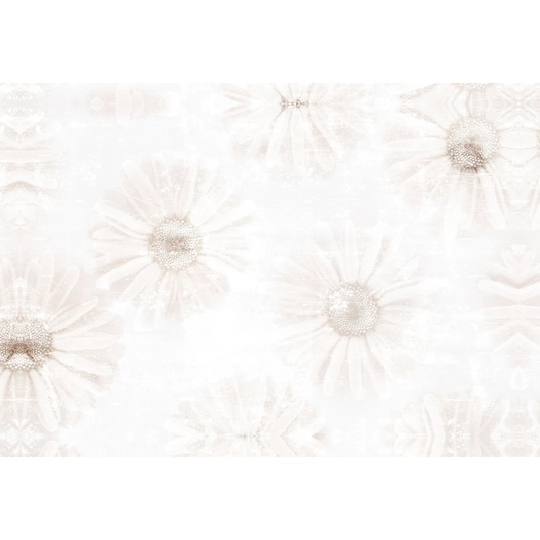 Creamy Toned Daisies - Wrapped Canvas Painting Print