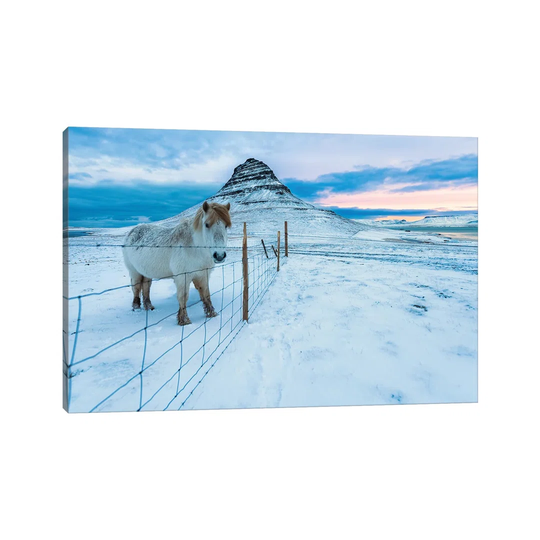 Kirkjufell Morn by David Gardiner - Wrapped Canvas Photograph