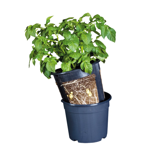 Delano Plastic Plant Pot
