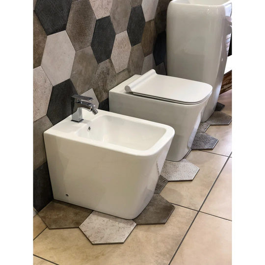 Back To Wall Toilet with Dual Flush and Soft Close Seat