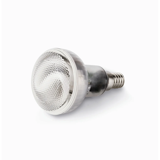 7W E14/European Light Bulb