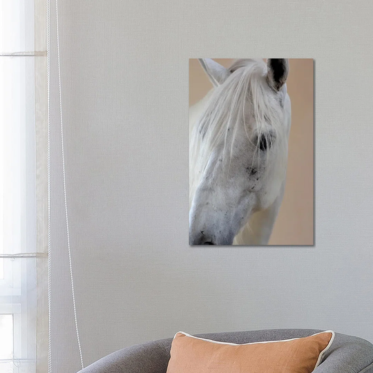 In the Stable Ii by Jonathan Brooks - Wrapped Canvas Art Prints