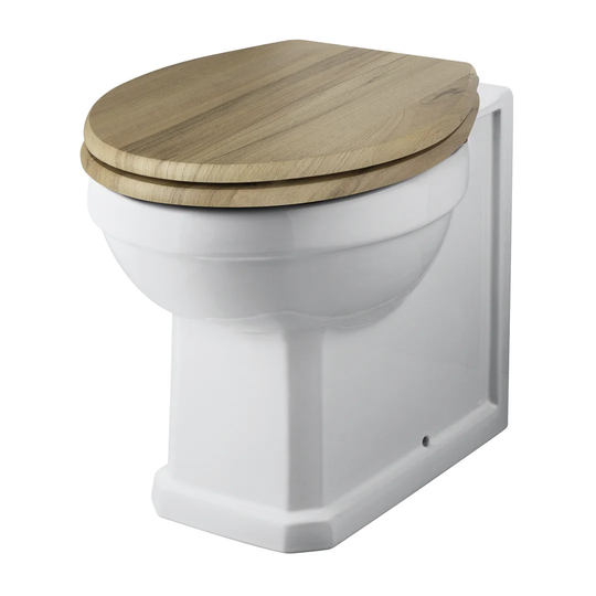 Zella Back to Wall Toilet
