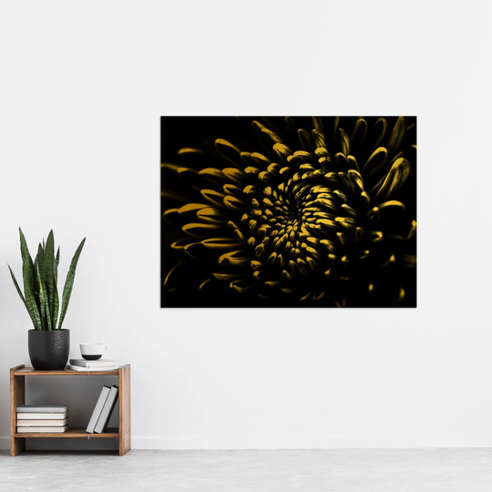 Effect Flower Close Up by Chris Evry - Unframed Graphic Art