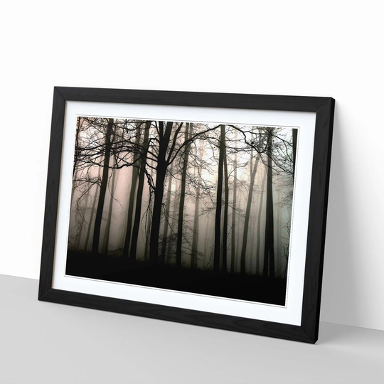 'Landscape Sunlight Through Forest Woodland 2' Framed Photographic Print