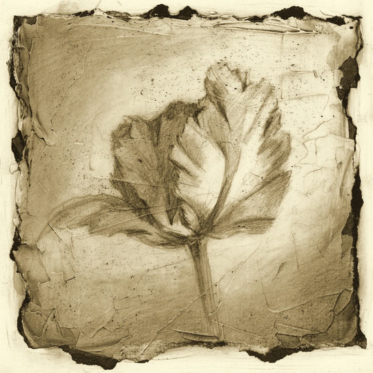 Floral Impression V by Ethan Harper - Wrapped Canvas Painting