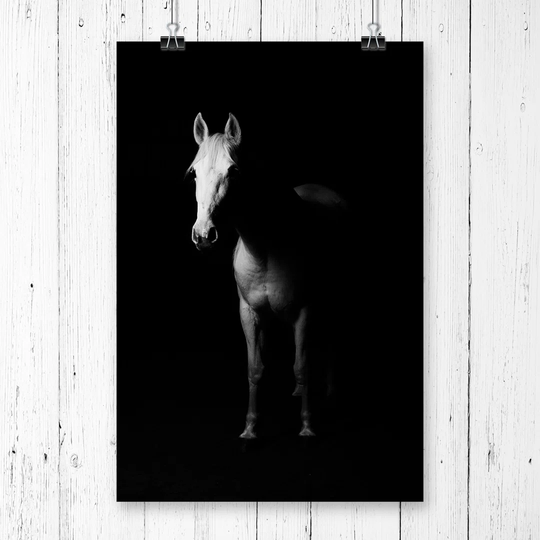 'White Horse' Graphic Art