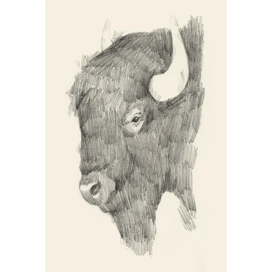 Buffalo Sketch II - Painting