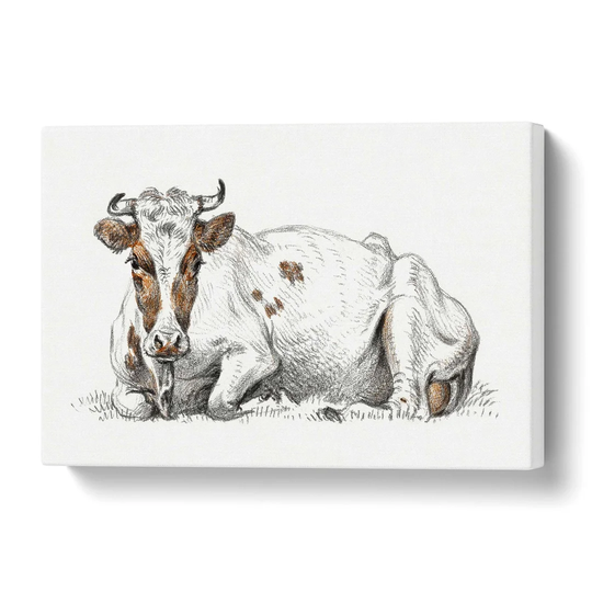 'A Lying Cow' by Jean Bernard - Wrapped Canvas Drawing Print