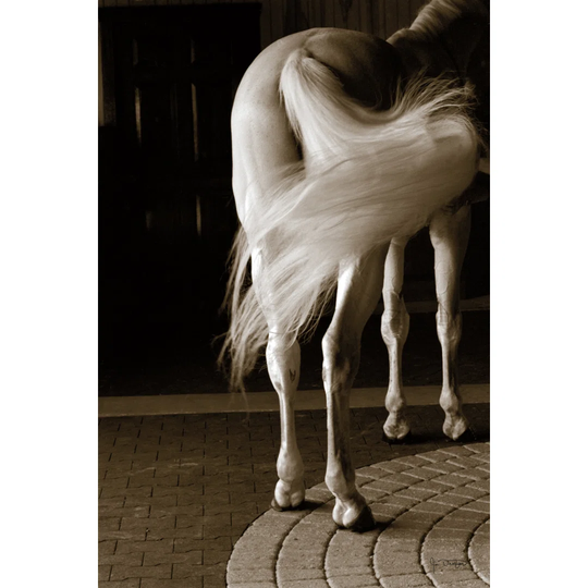 Swoosh by Jim Dratfield - Wrapped Canvas Photograph