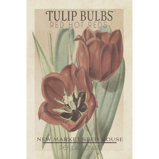 Vintage Seed Packets VI by Studio W - Wrapped Canvas Painting