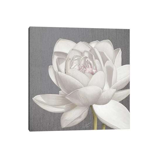 Vintage Lotus on Grey II - Wrapped Canvas Painting
