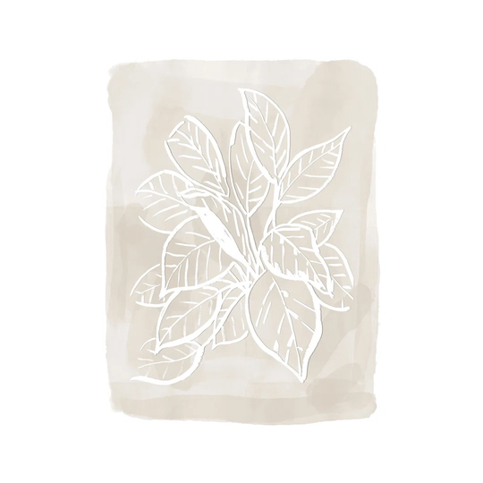 Tan and White Ink Plant Study - Wrapped Canvas Painting Print