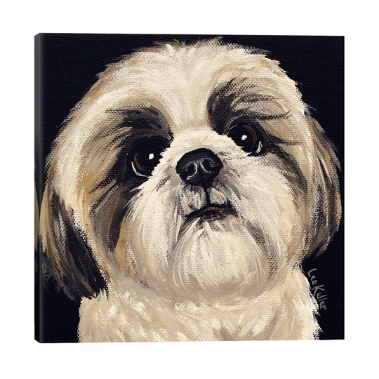 'Shih Tzu on Black I' Graphic Art on Wrapped Canvas