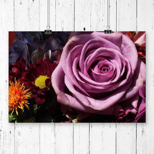 'Flower Purple Rose' Photographic Print