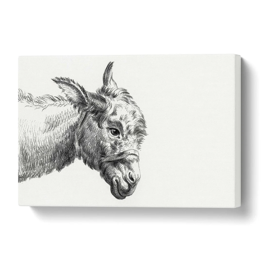 'A Head of a Donkey' by Jean Bernard - Wrapped Canvas Drawing Print