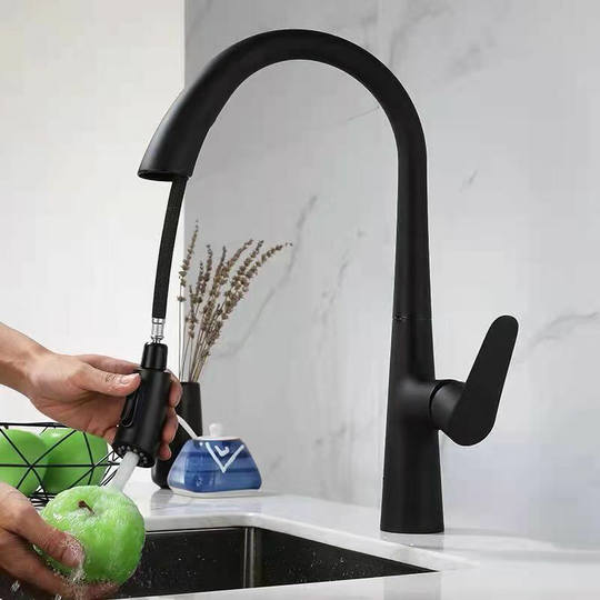 Kitchen Faucet - Single Handle Kitchen Faucet with Pull-out Spray 360° Rotatable, 2 Spray Modes Sink Faucet Black - Litzee