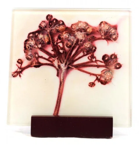 Judy 10cm Glass Coaster
