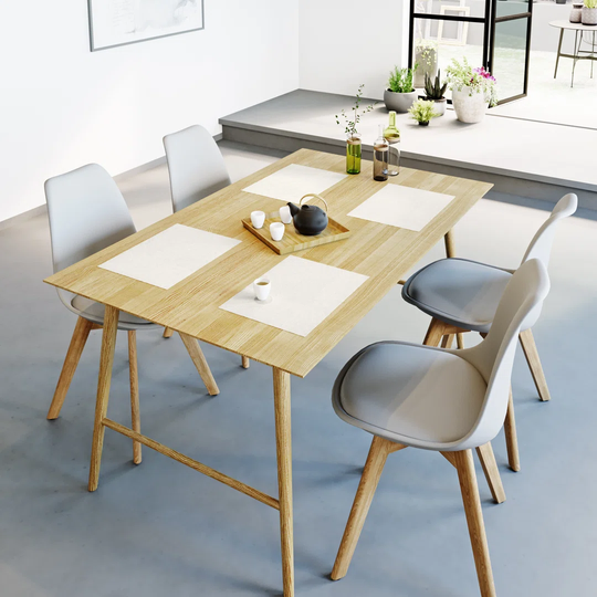 4 Piece Placemat Set