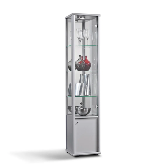 Rachel Standard Curio Cabinet with Lighting