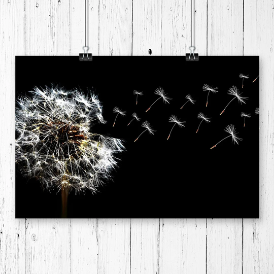 'Flower Dandelion Seeds' Graphic Art
