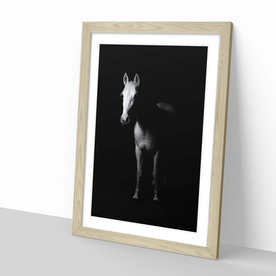 'White Horse' Framed Photographic Print