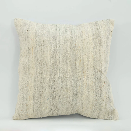 Dingman Indoor / Outdoor Square Scatter Cushion Cover